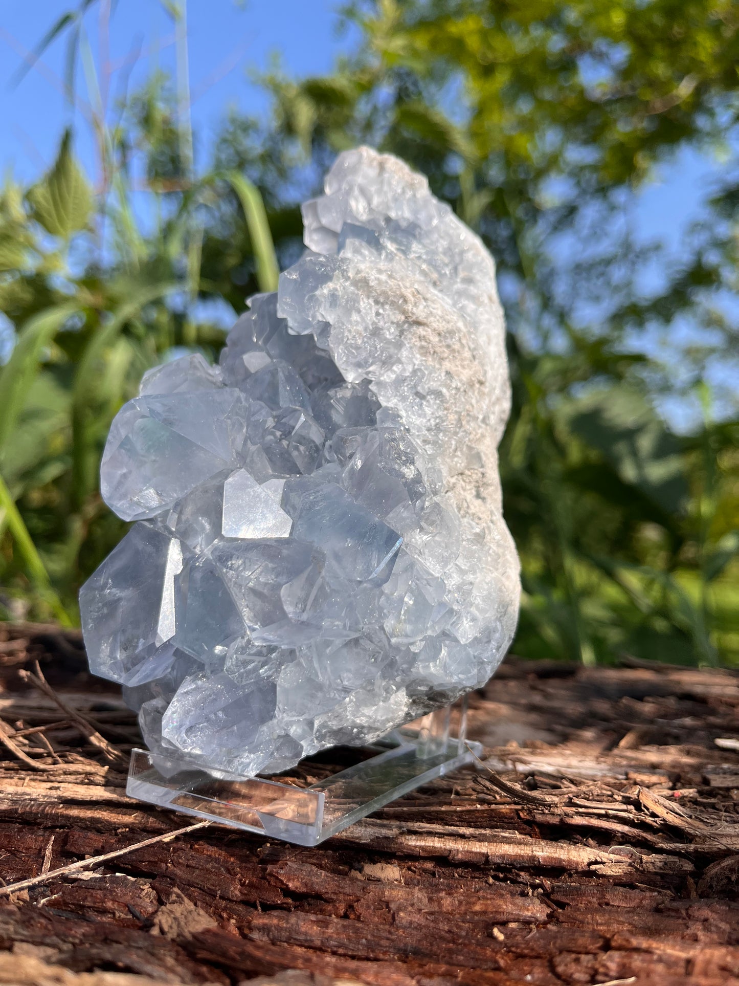 Raw Celestite Crystal
