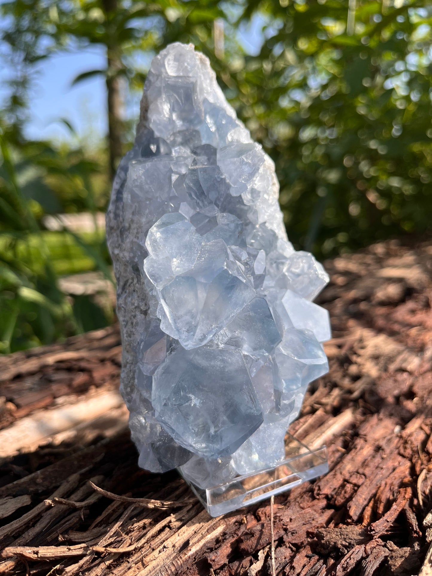 Raw Celestite Crystal