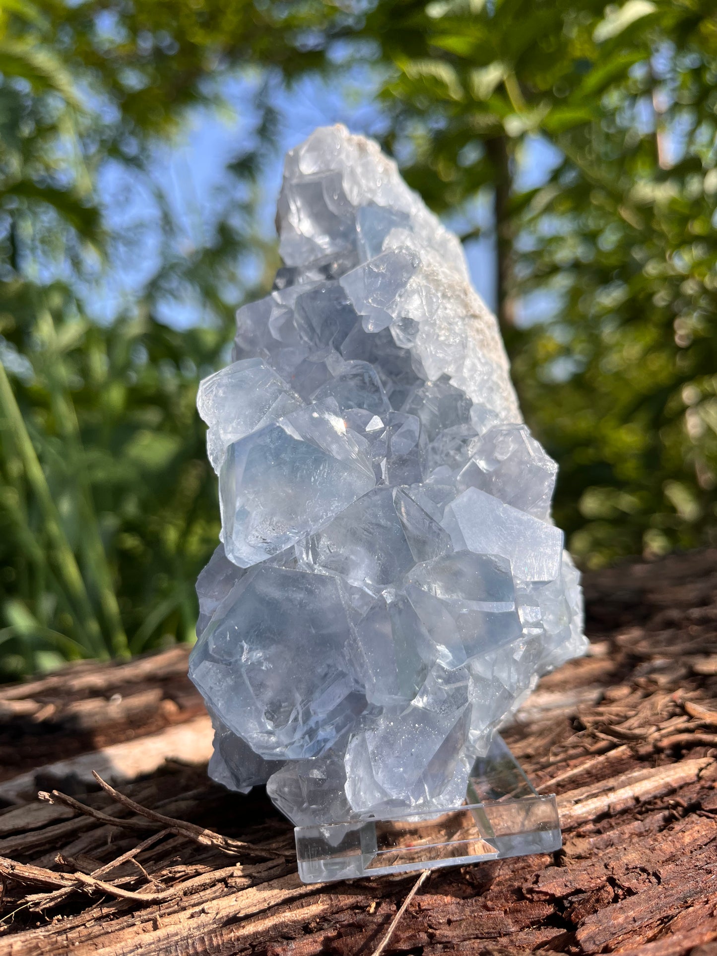 Raw Celestite Crystal