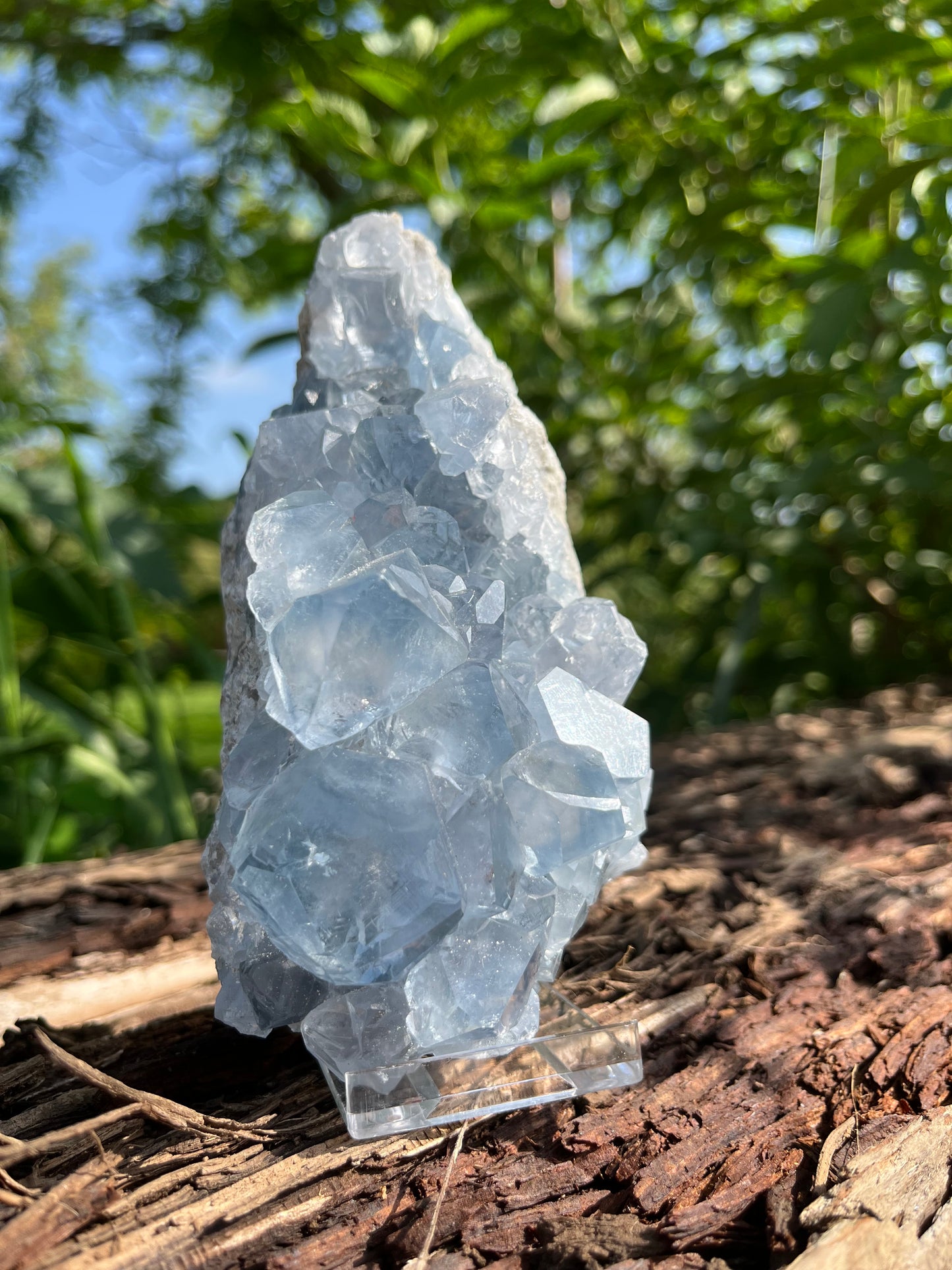 Raw Celestite Crystal