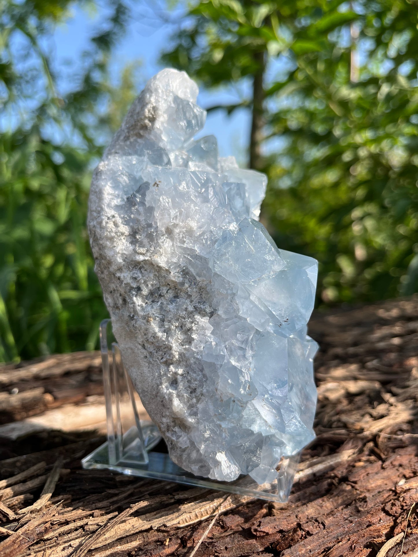 Raw Celestite Crystal
