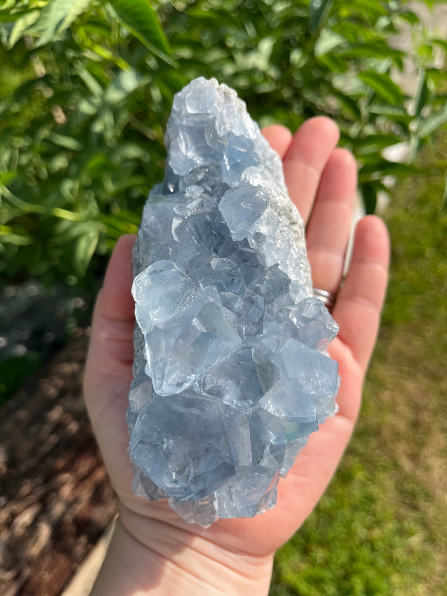 Raw Celestite Crystal