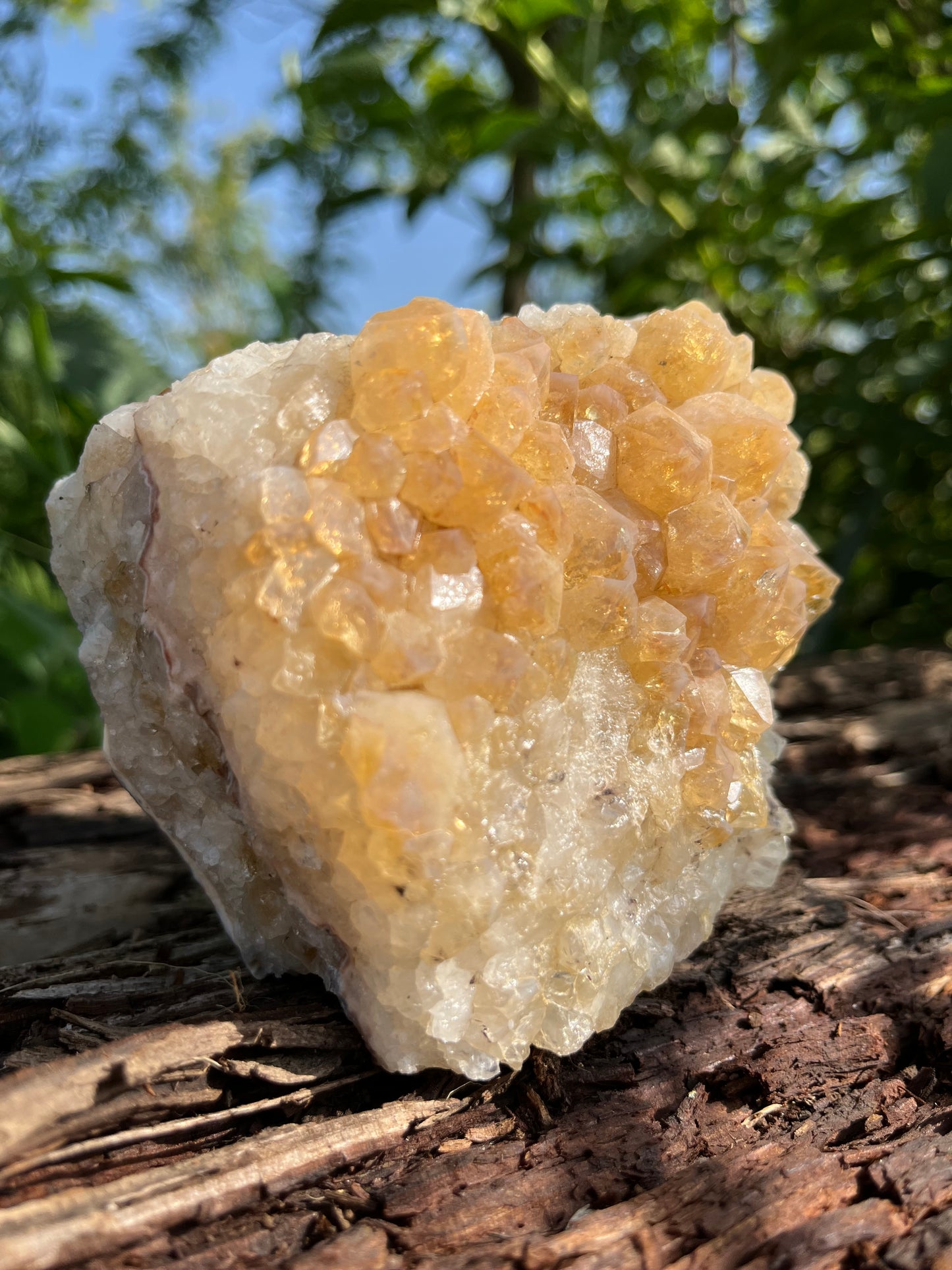 Raw Citrine Crystal