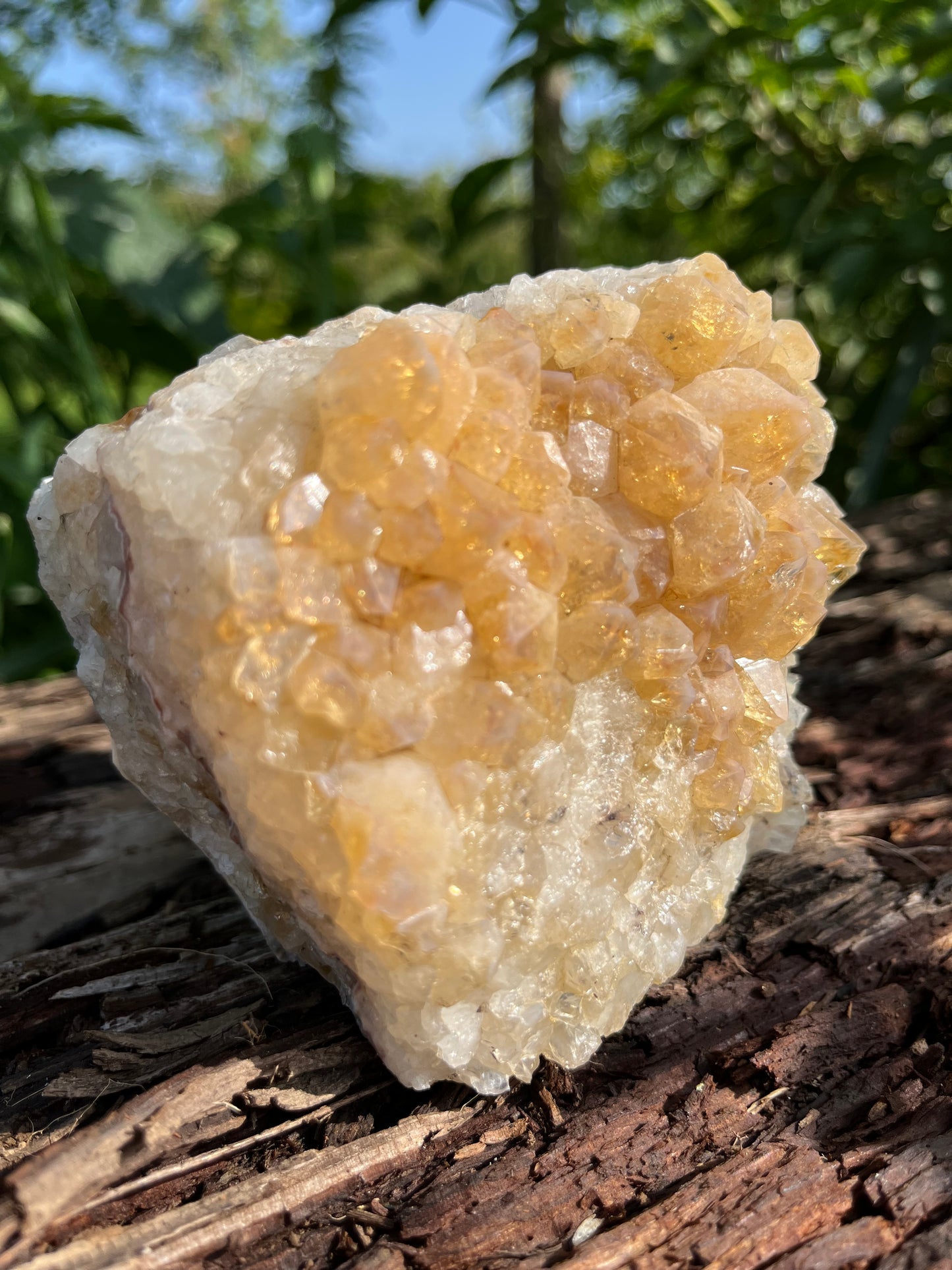 Raw Citrine Crystal