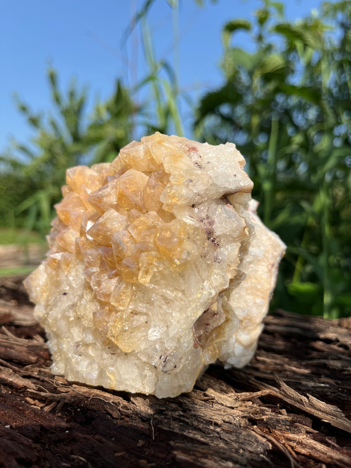 Raw Citrine Crystal