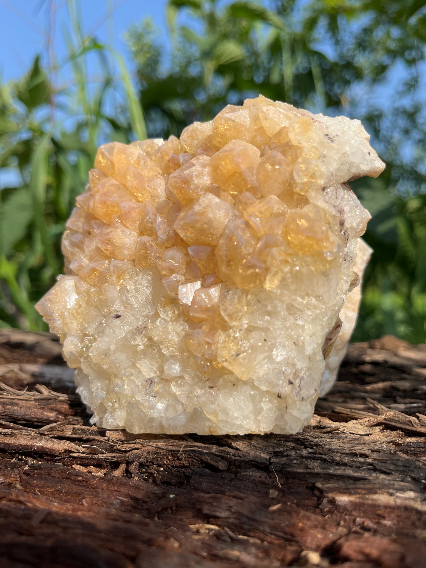 Raw Citrine Crystal