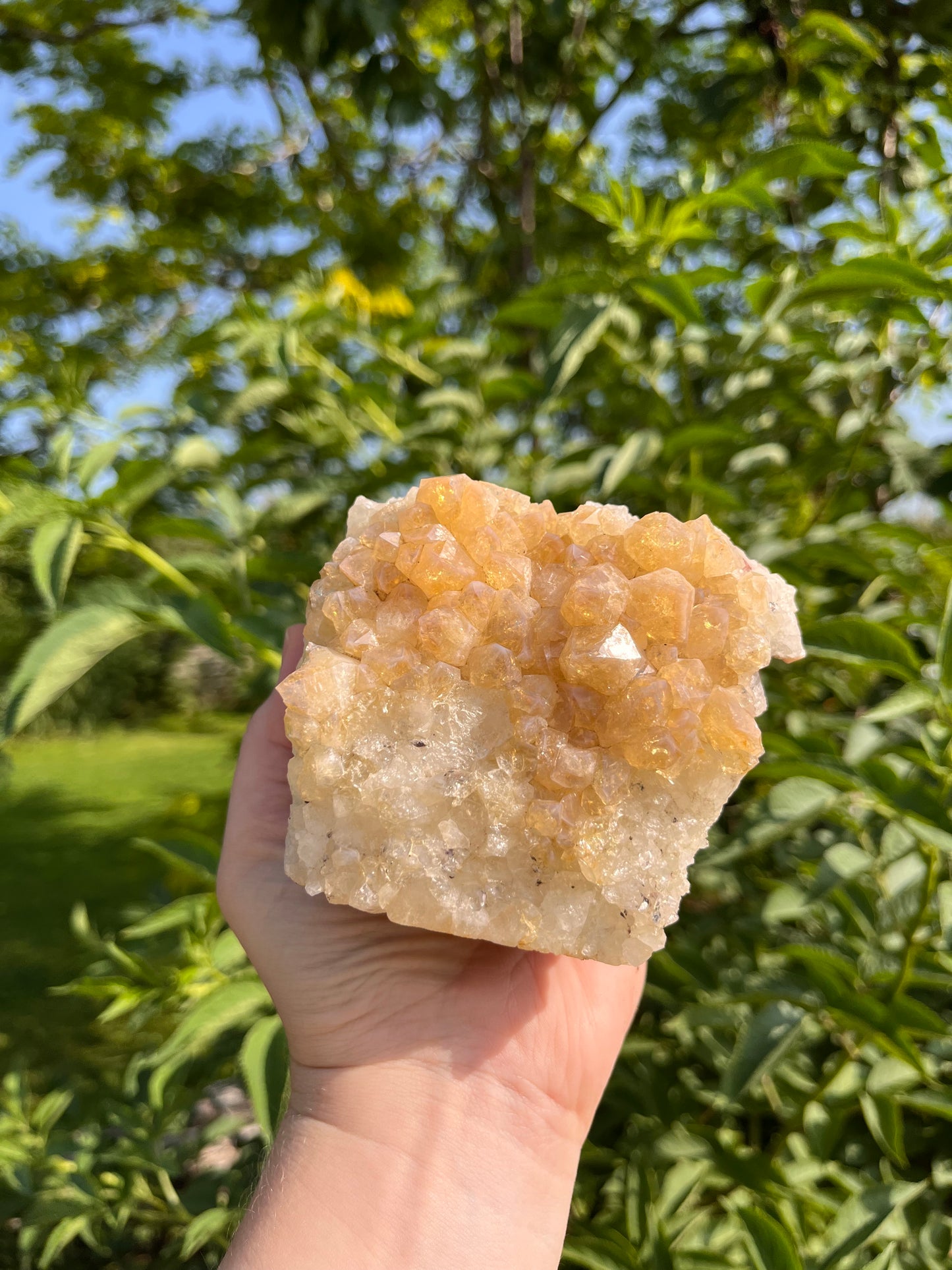 Raw Citrine Crystal