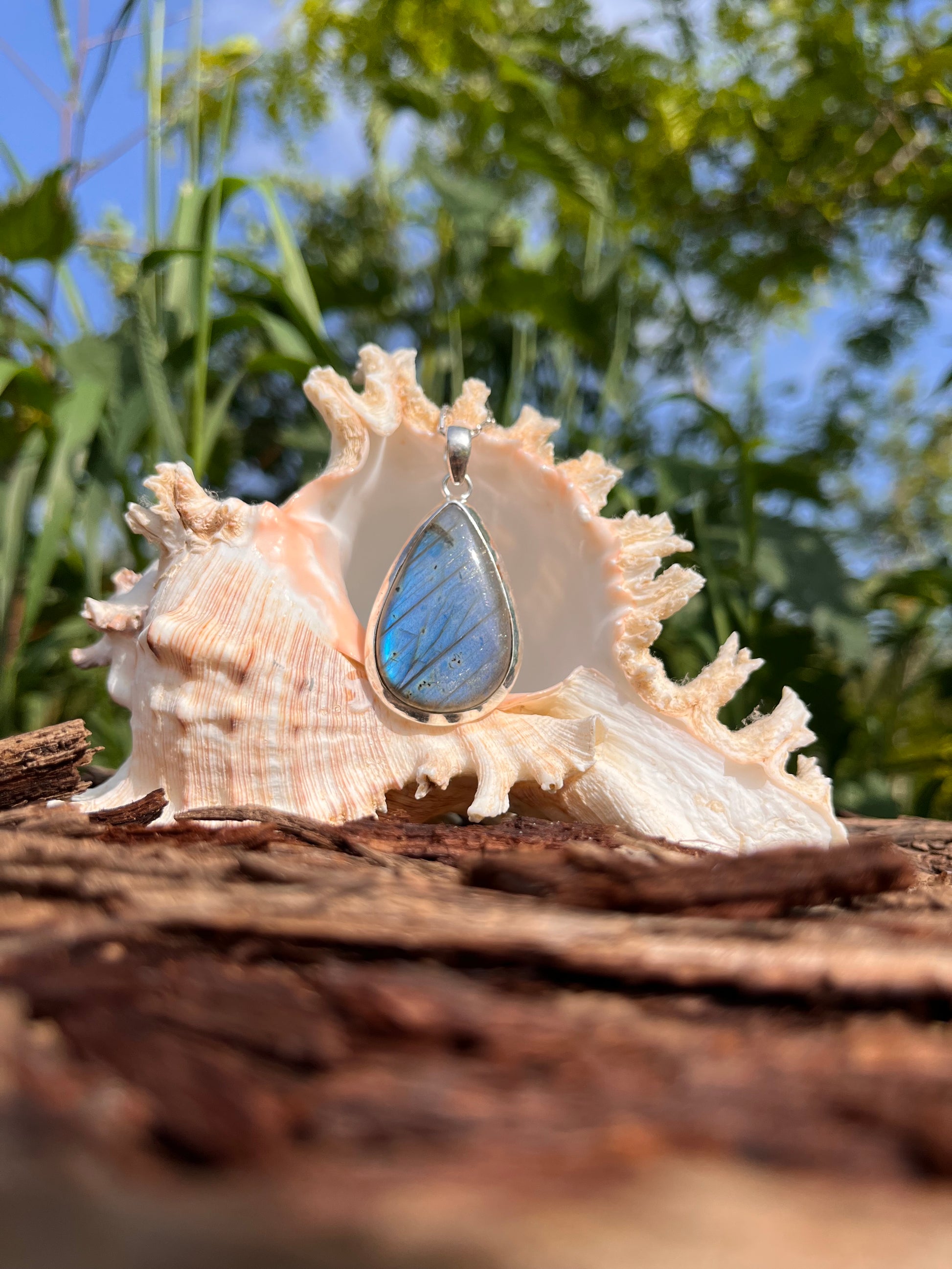 A teardrop-shaped pendant with a blue iridescent inlay set in a silver bezel, displayed inside a large beige seashell on a piece of wood with a blurred outdoor background of green foliage and blue sky.