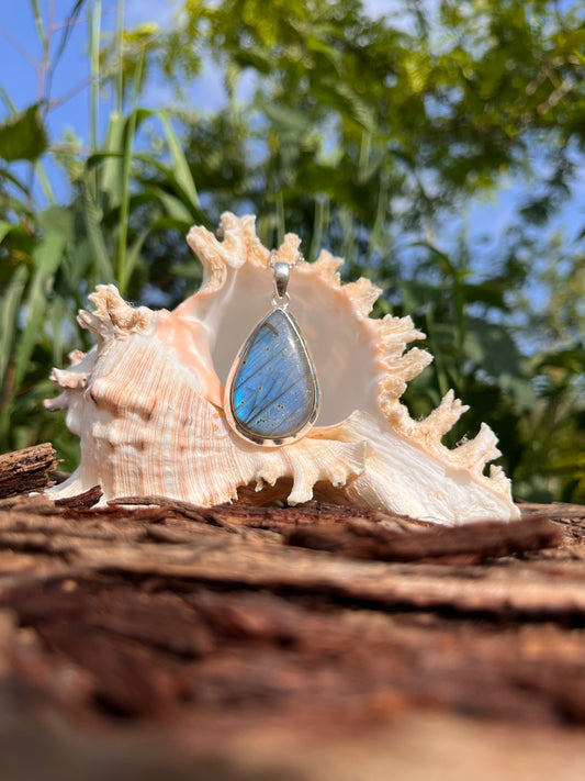 A teardrop-shaped pendant with a blue iridescent inlay set in a silver bezel, displayed inside a large beige seashell on a piece of wood with a blurred outdoor background of green foliage and blue sky.