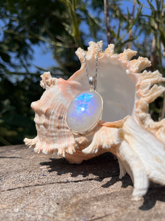 A silver pendant necklace with a round, iridescent moonstone cabochon resting inside a large seashell, set against a natural outdoor background of wood and foliage.
