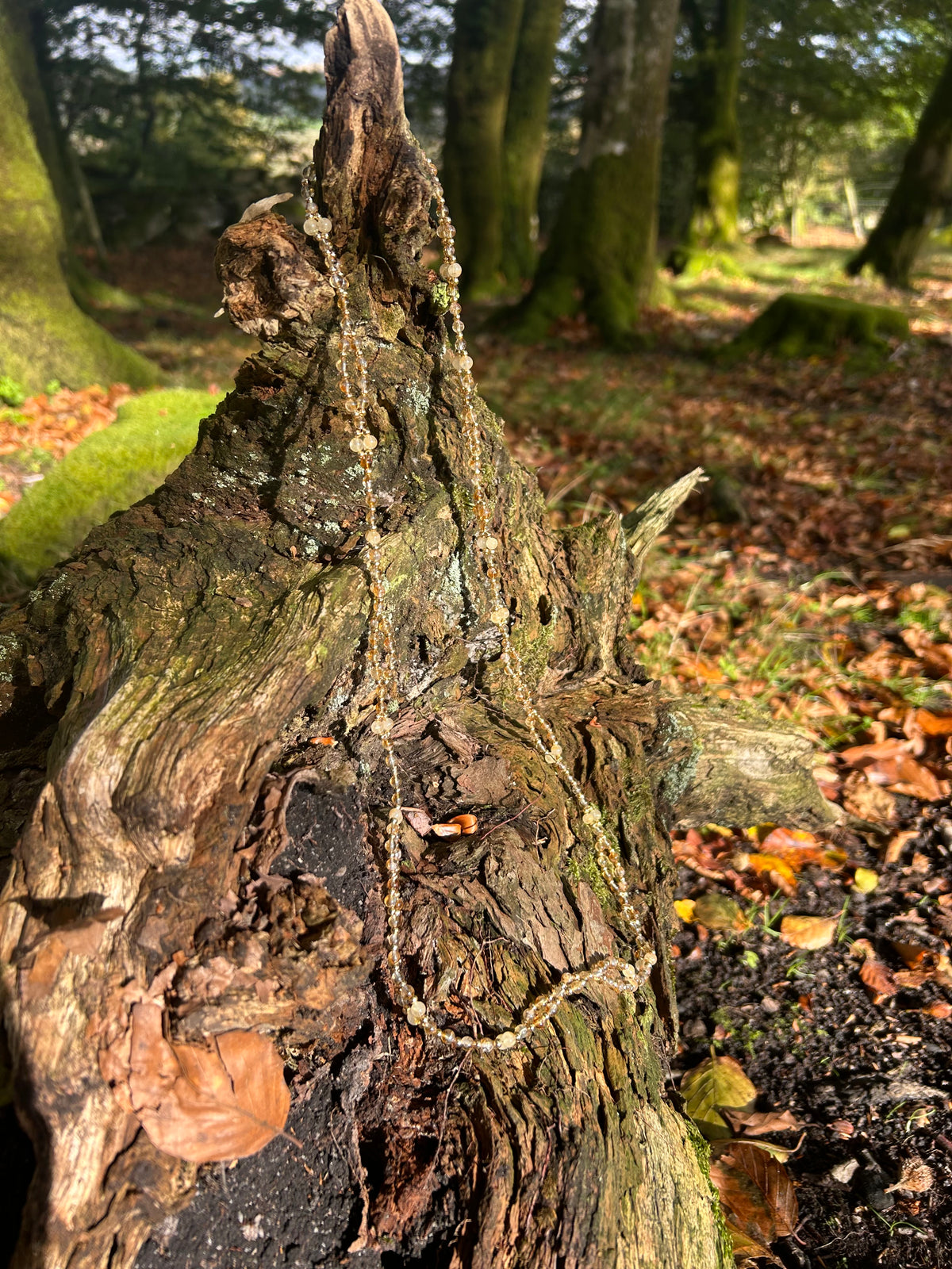 A rustic beaded necklace made of small light-colored beads draped over the textured bark of a weathered tree stump in an outdoor forest setting.
