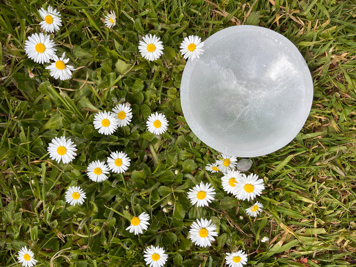 Selenite Cleansing and Charging Bowl